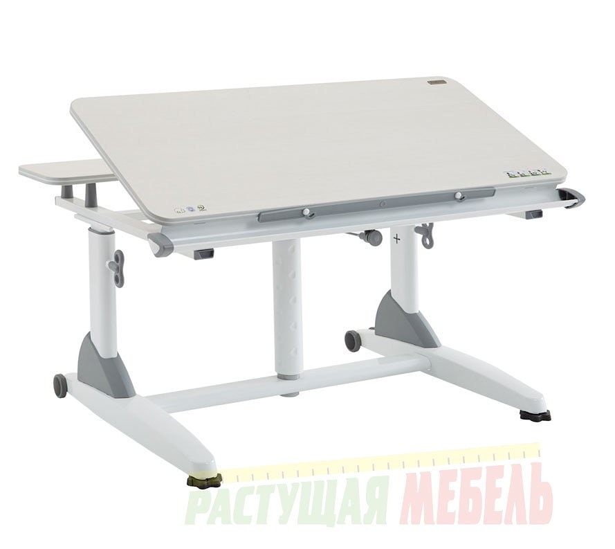 Детский стол-трансформер TCT Nanotec G2-XS серый