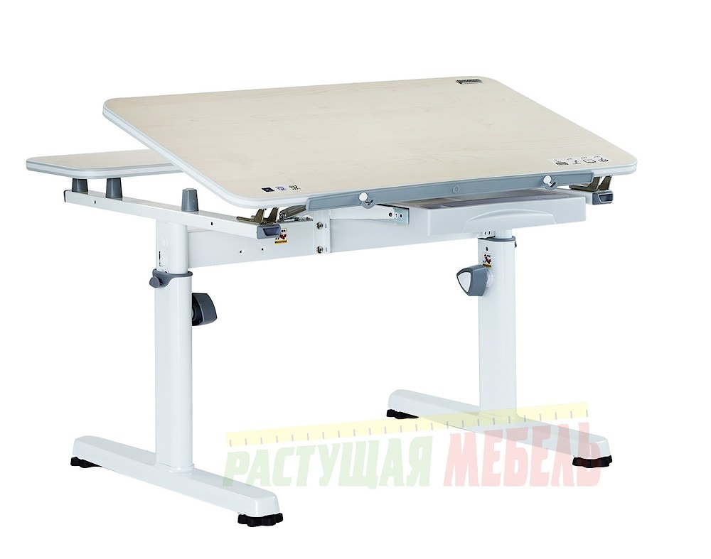 Детский стол-трансформер TCT Nanotec R2-80