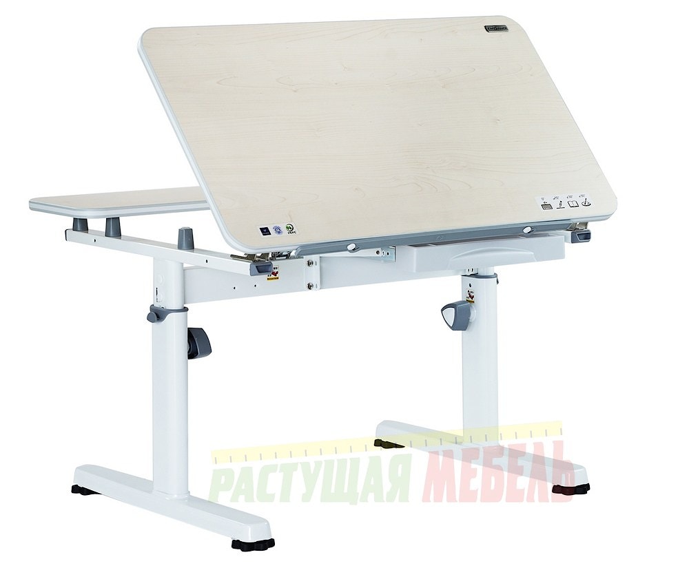 Детский стол-трансформер TCT Nanotec R2-80