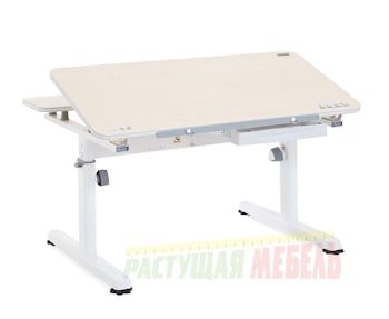 Детский стол-трансформер TCT Nanotec R2-93
