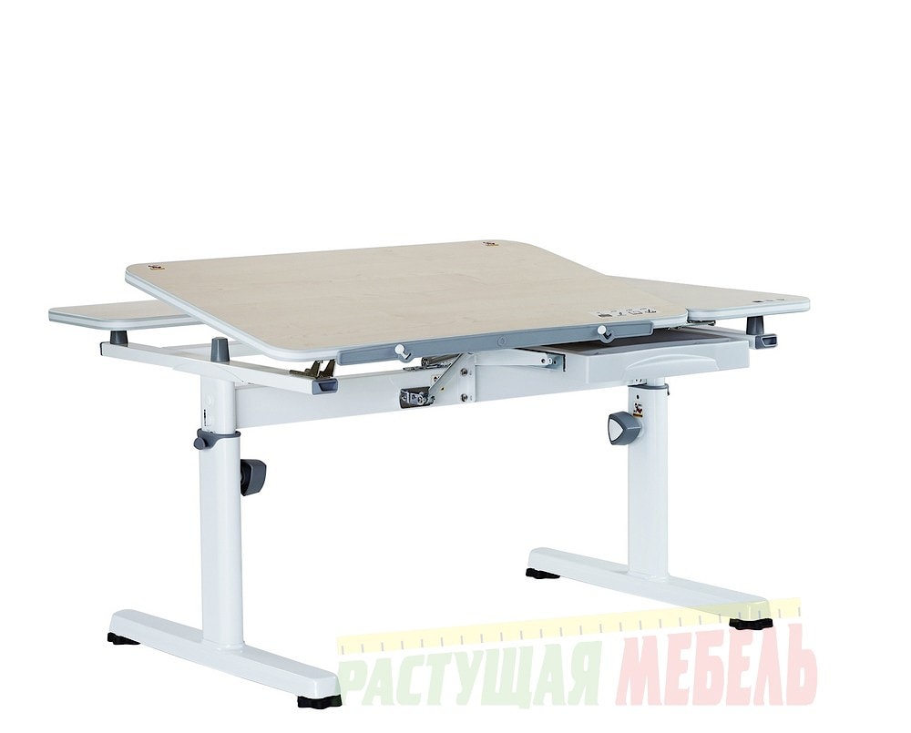 Детский стол-трансформер TCT Nanotec R6-XS