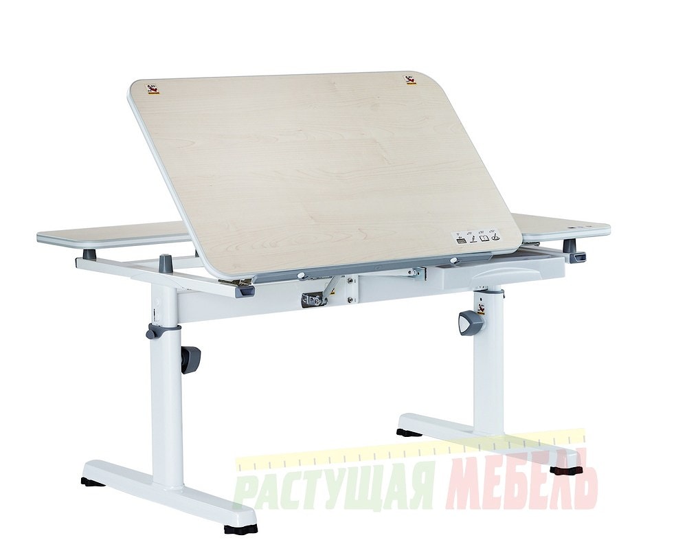 Детский стол-трансформер TCT Nanotec R6-XS