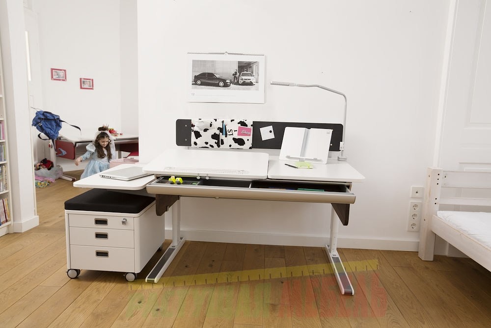 Магнитная задняя подвесная стенка Panel к парте moll Champion