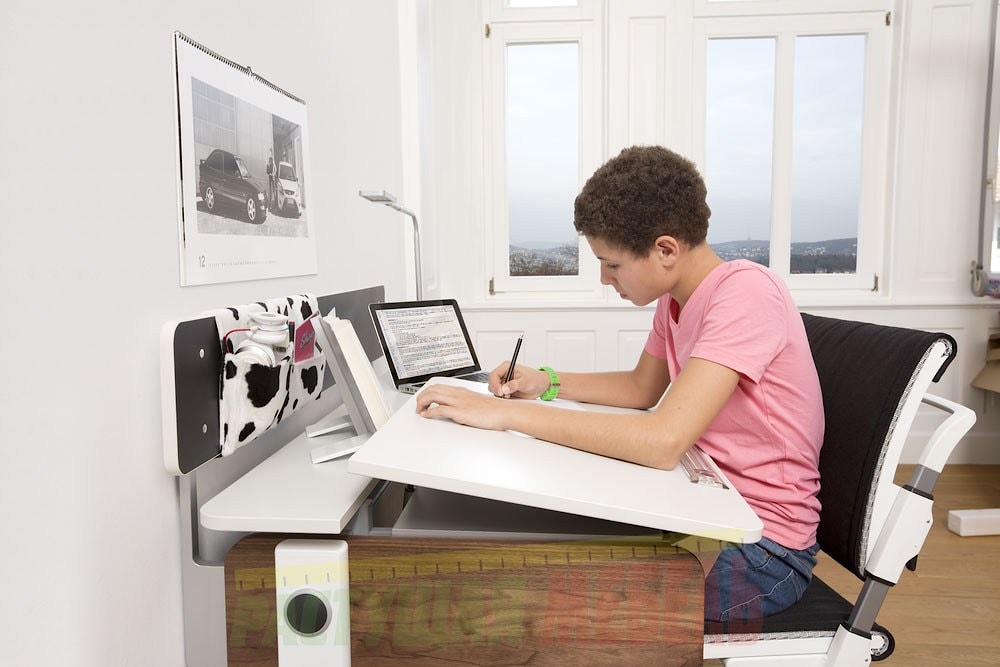 Магнитная задняя подвесная стенка Panel к парте moll Champion