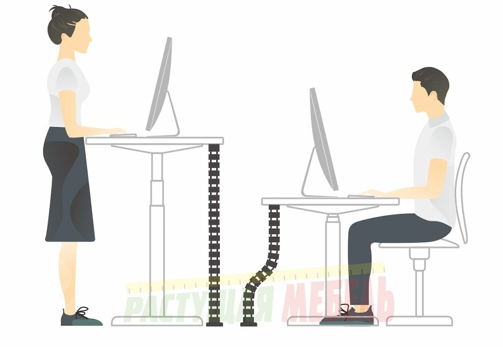 Органайзер проводов Ergo Cabel позволит работать сидя-стоя за электрорегулируемым столом