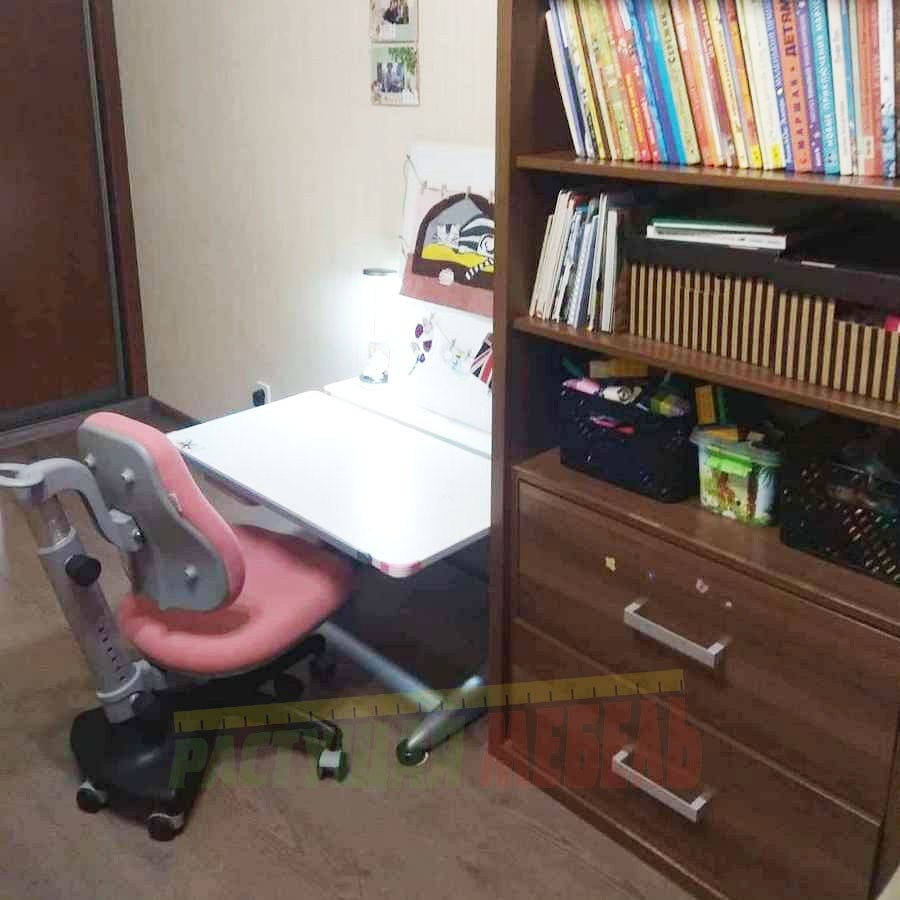 Парта COMF-PRO Tokyo-2 специальная модель и растущий стул COMF-PRO Match