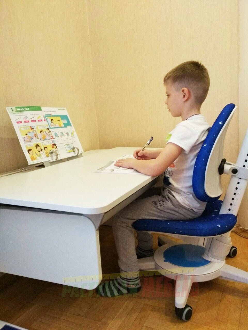  Парта moll Champion и стул moll Maximo 