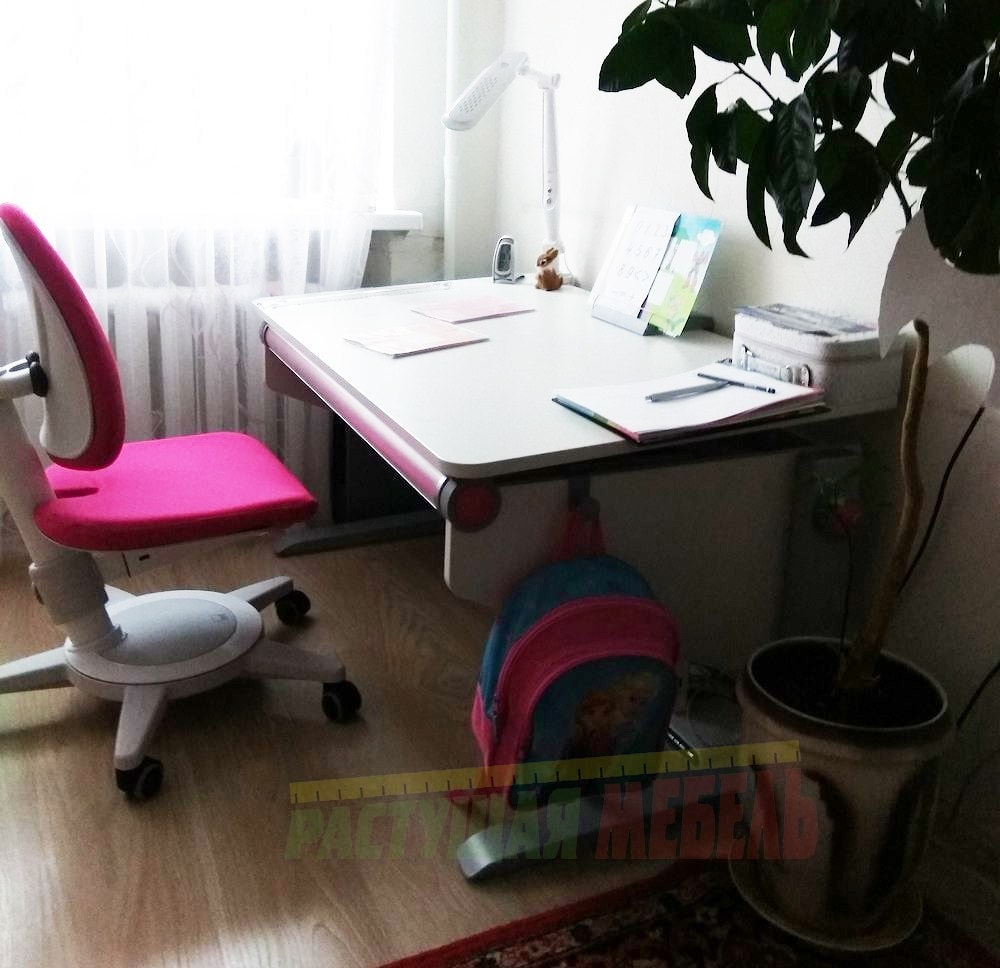  Растущая парта moll Winner и стул moll Maximo в интерьере детской