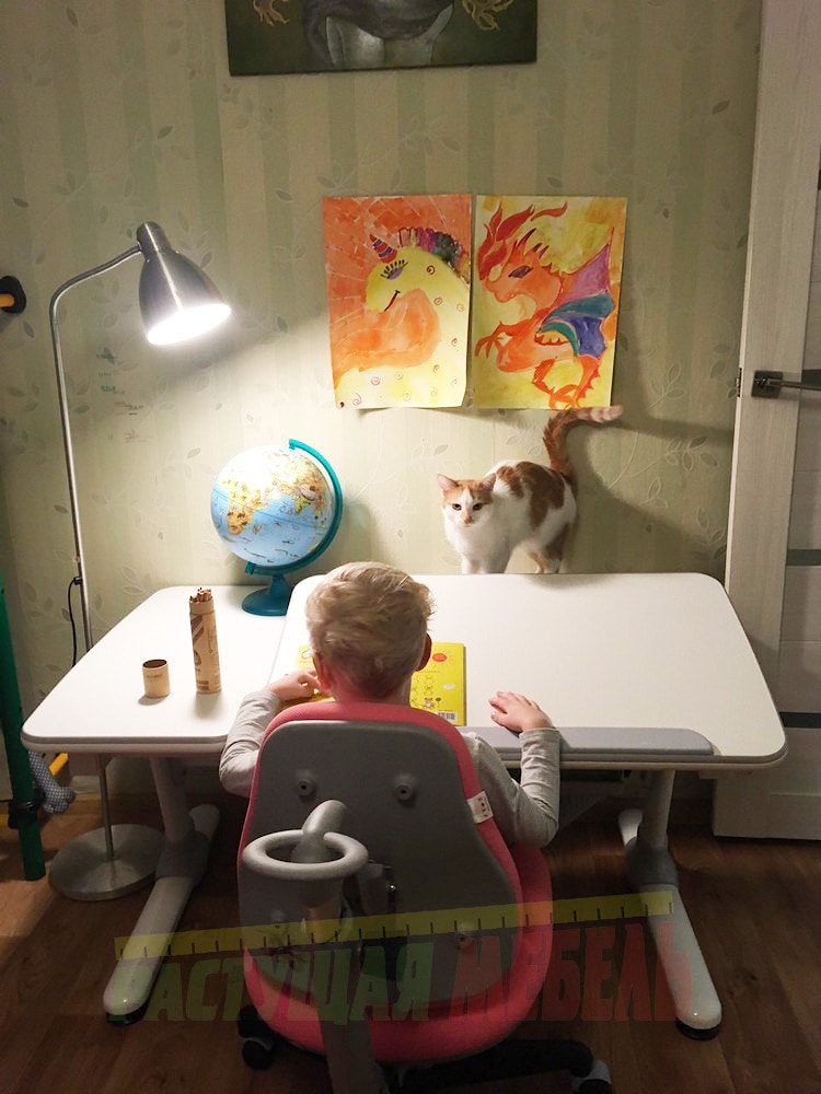  Детская парта-трансформер Smart E502 растущий стул COMF-PRO Match