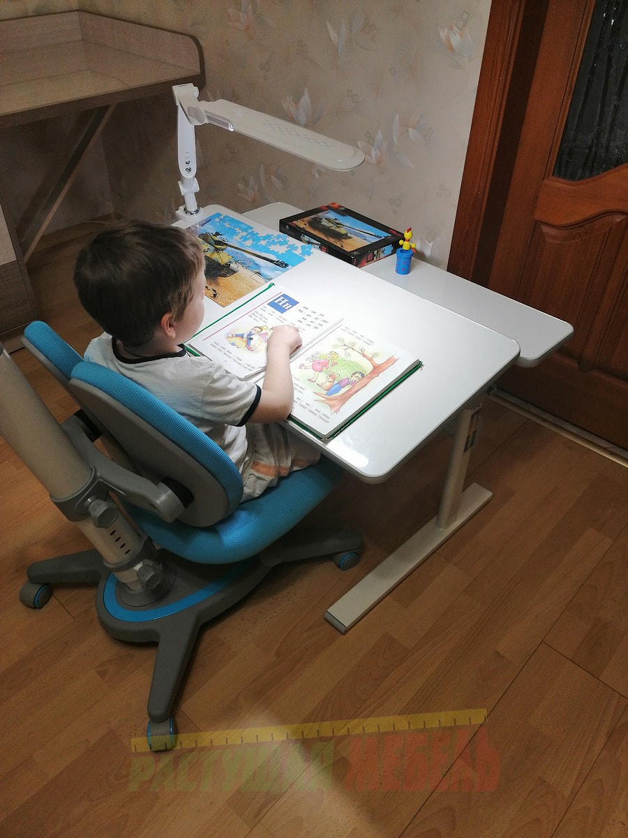 Комплект детской растущей мебели "парта и стул" Picasso E201- Smart DUO MC204