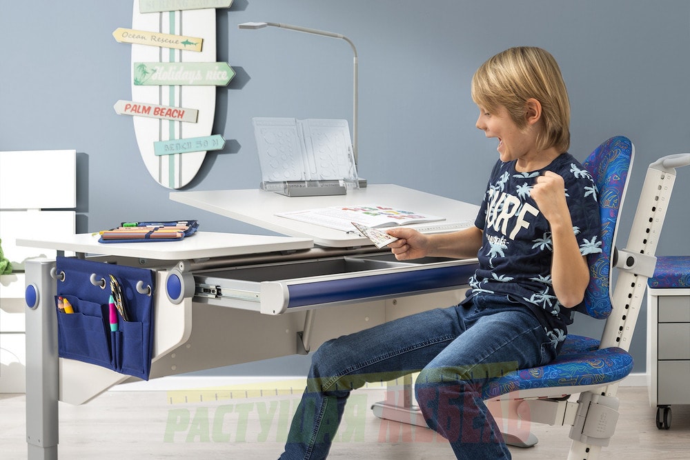 Эргономичный растущий стул moll Maximo