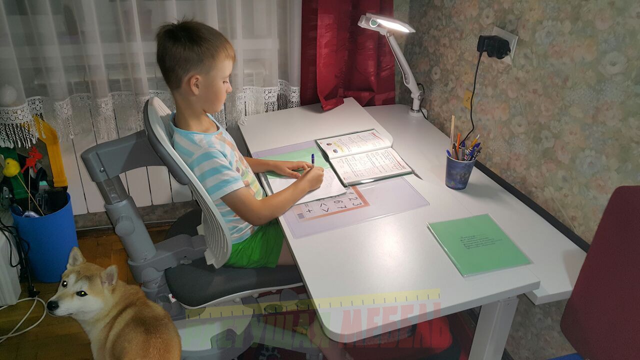 Парта-трансформер Smart E301 и эргономичный стул Comf-Pro UltraBack.