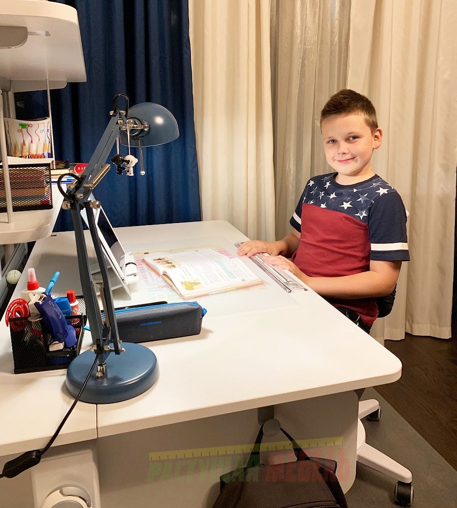 Растущая парта moll Champion c навесной панелью Flex Desk и эргономичным стулом moll Maximo