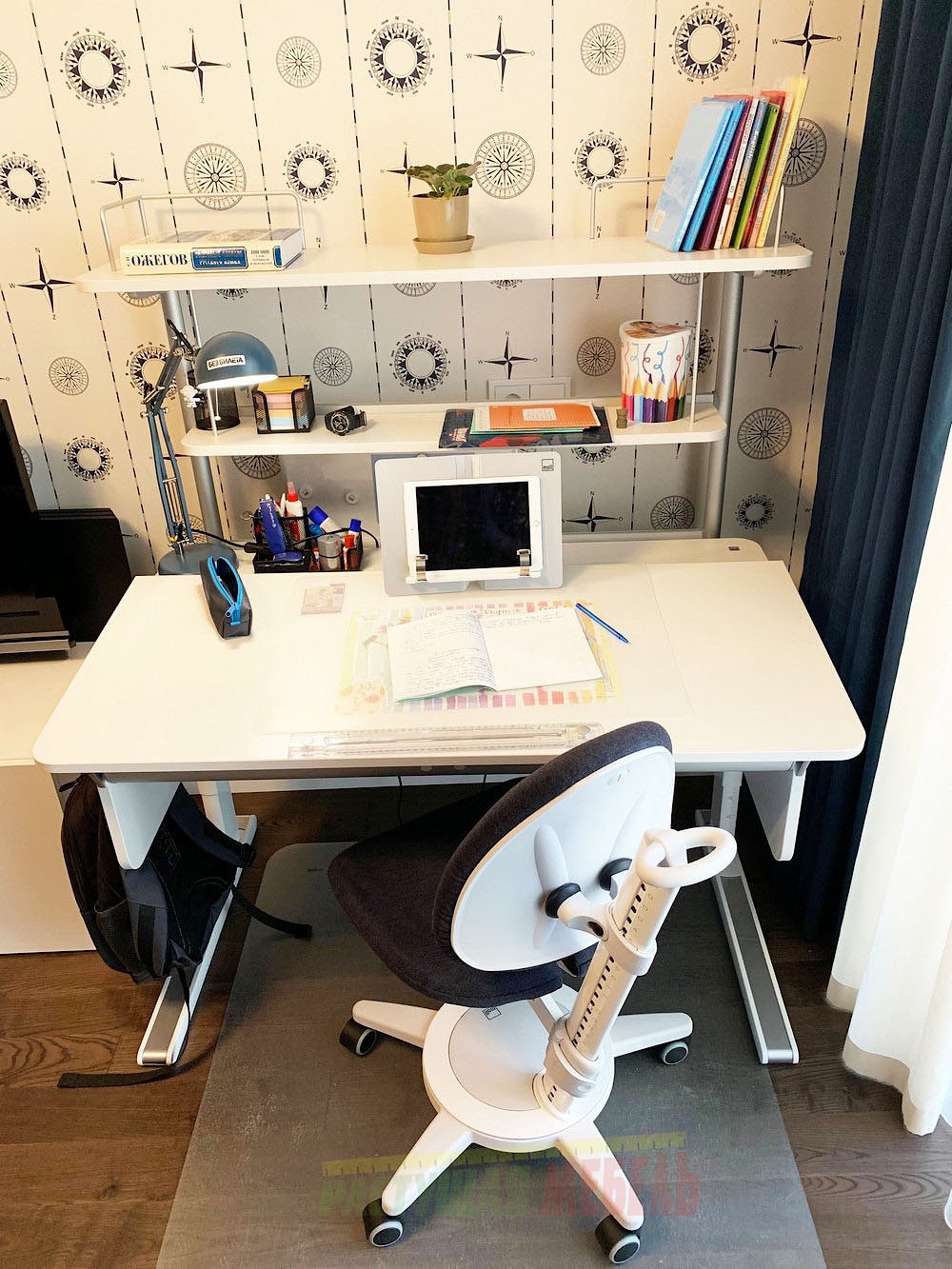 Растущая парта moll Champion c навесной панелью Flex Desk и эргономичным стулом moll Maximo