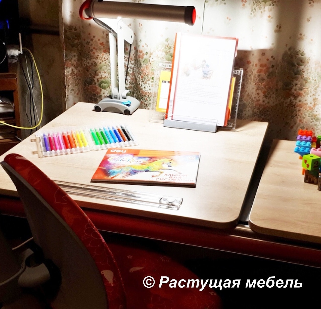  Растущая парта moll Winner Split, стул moll Maximo, лампа moll Mobilight