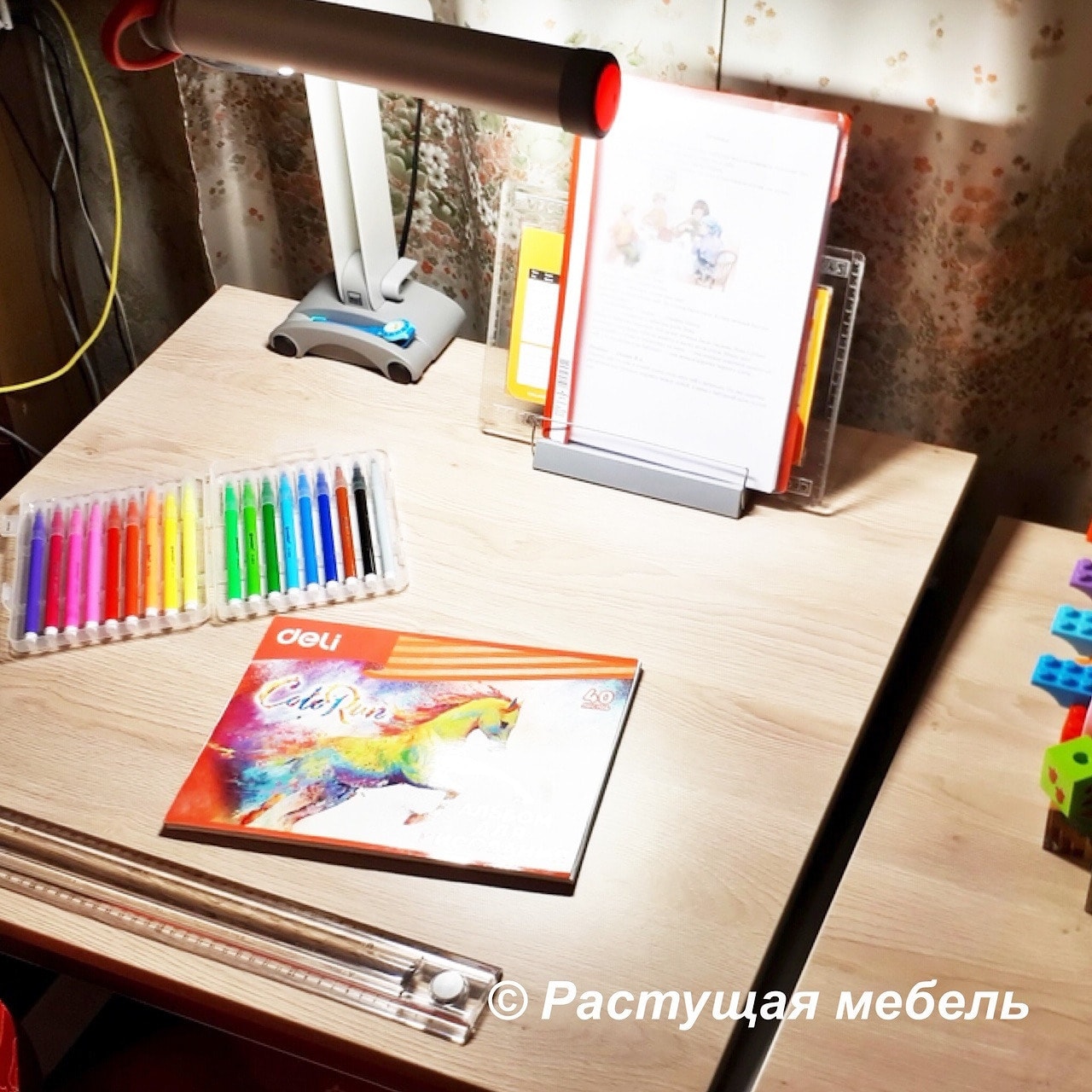  Растущая парта moll Winner Split, лампа moll Mobilight