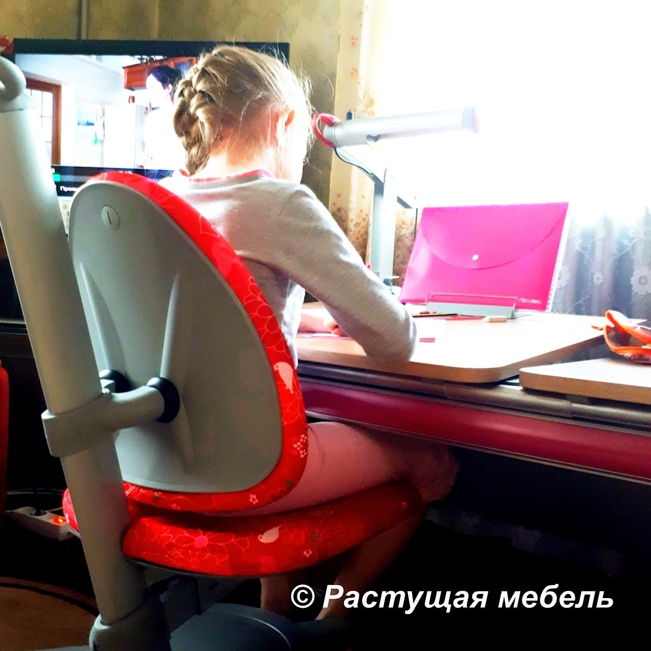  Растущая парта moll Winner Split, стул moll Maximo, лампа moll Mobilight