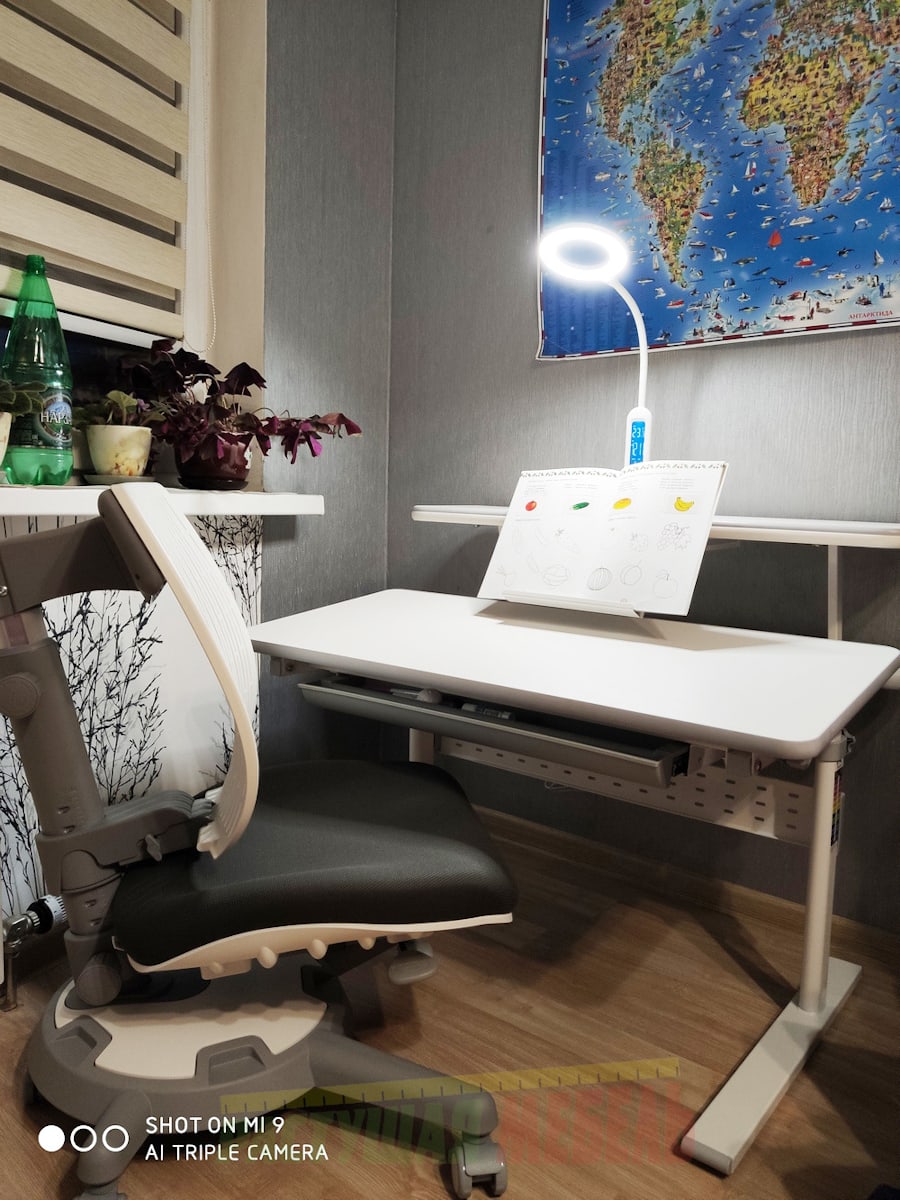 Детская растущая парта Picasso E201 c полкой Smart E515 и регулируемым креслом-стулом COMF-PRO UltraBack