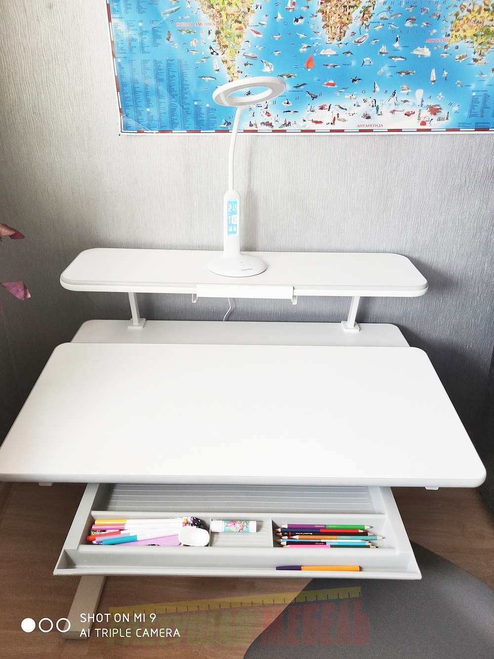 Детская растущая парта Picasso E201 c полкой Smart E515 