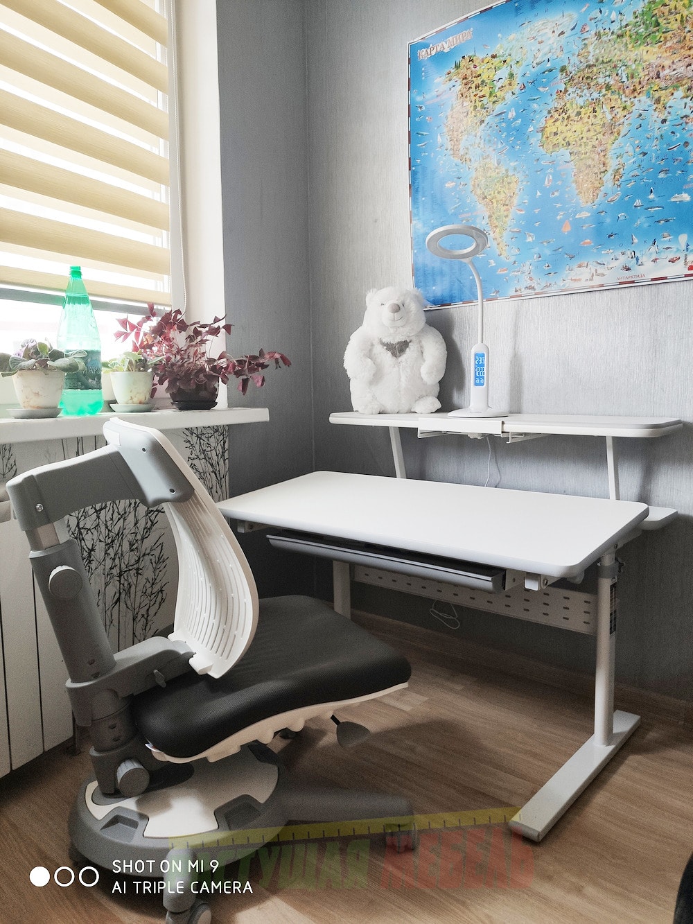 Детская растущая парта Picasso E201 c полкой Smart E515 и регулируемым креслом-стулом COMF-PRO UltraBack