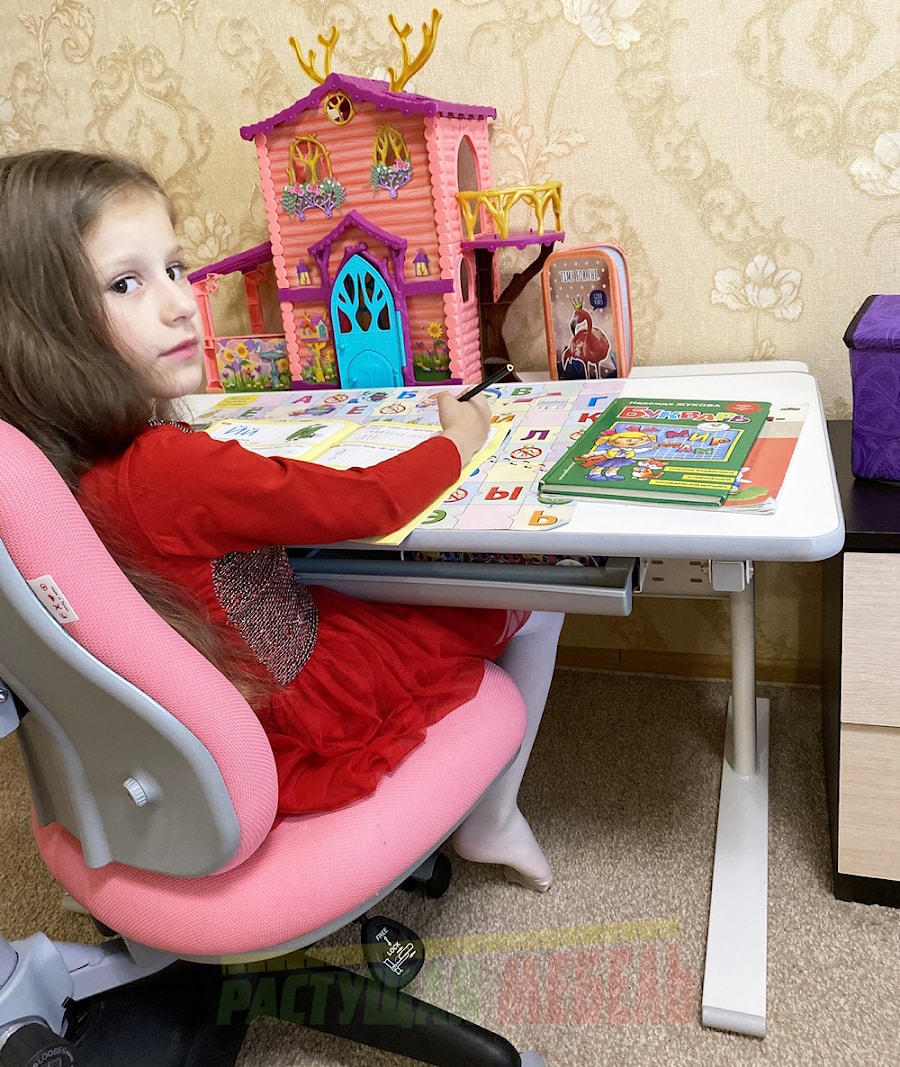 Растущая парта Study Desk E202S и эргономичный стул COMF-PRO Match