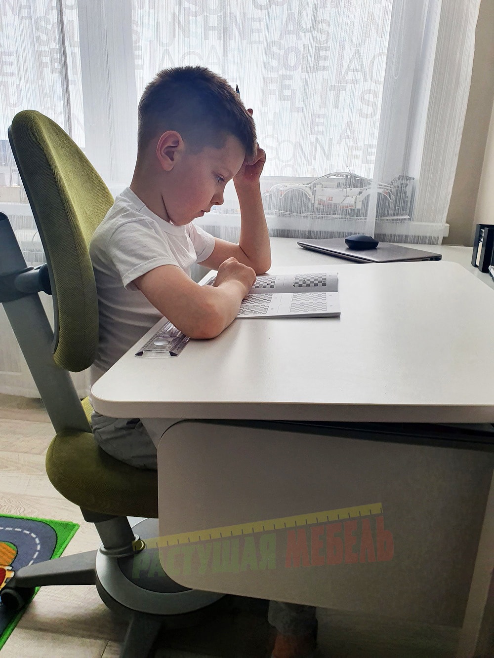 Растущая парта moll Champion и регулируемый стул moll Maximo