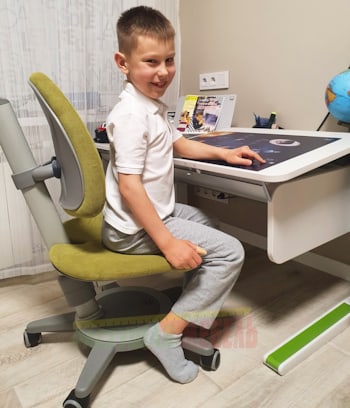 Комната юного шахматиста с регулируемыми стулом и партой moll для всей семьи - Акция "Конкурс интерьеров"  