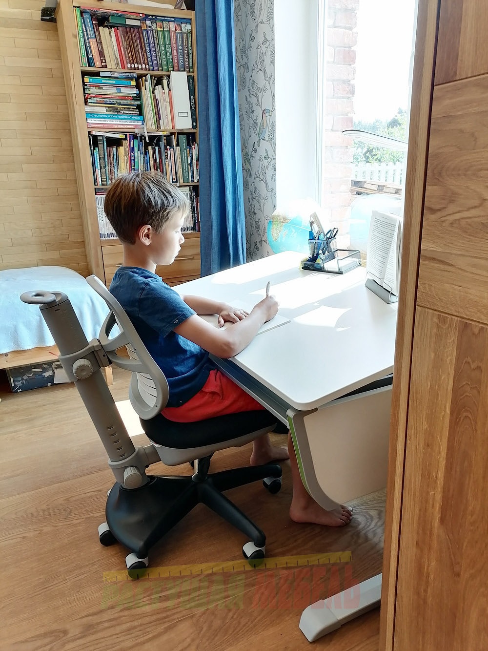 Растущие парта moll Joker и стул COMF-PRO Conan