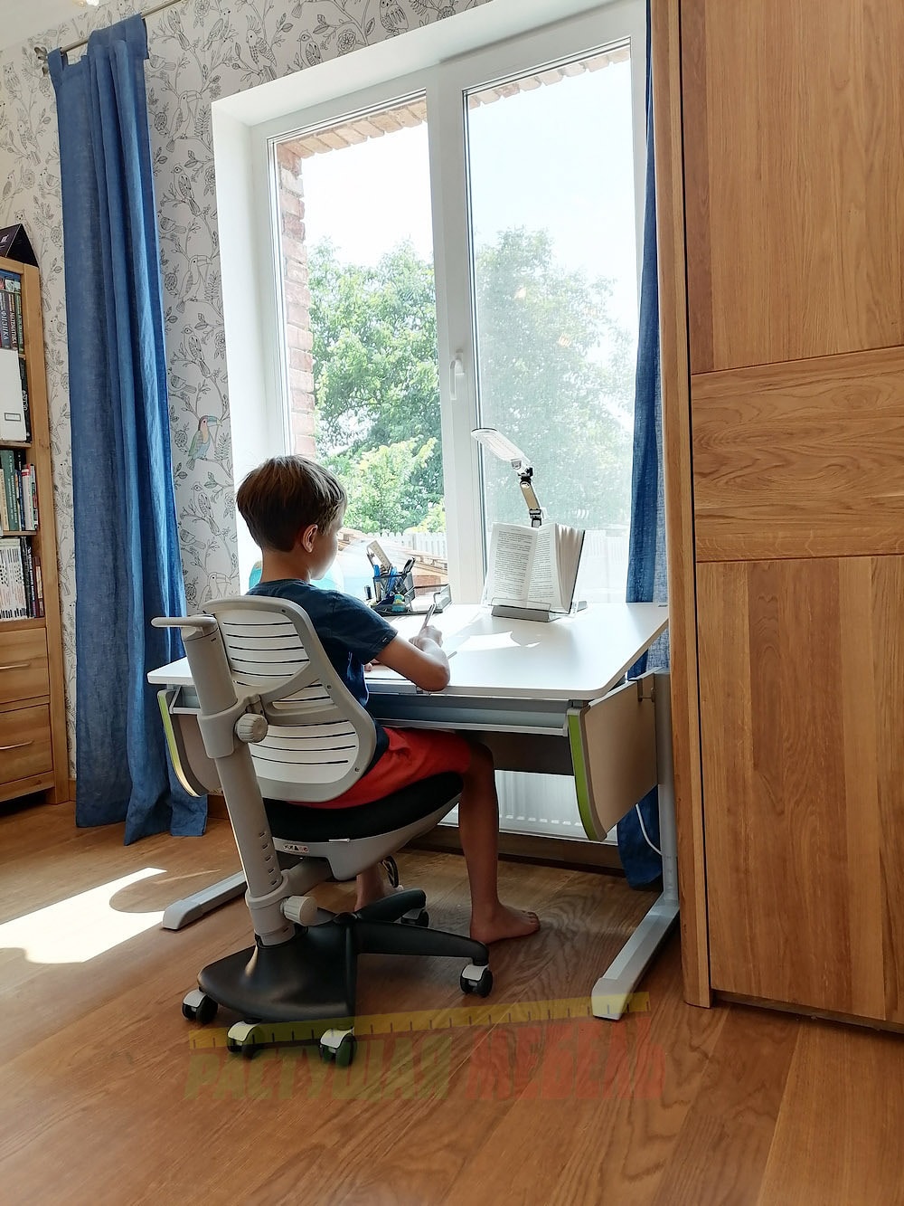 Растущая парта moll Joker