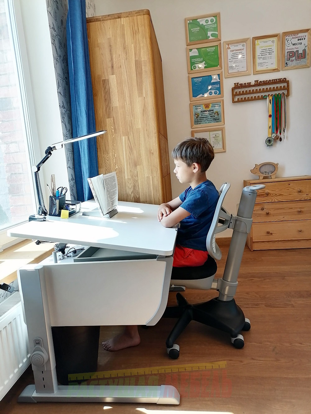 Растущая парта moll Joker