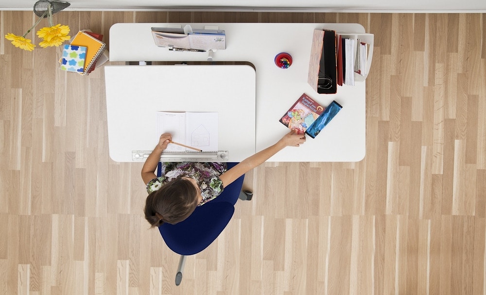 Линейка-ограничитель на магнитах с лупой для парт moll Winner и Сhampion