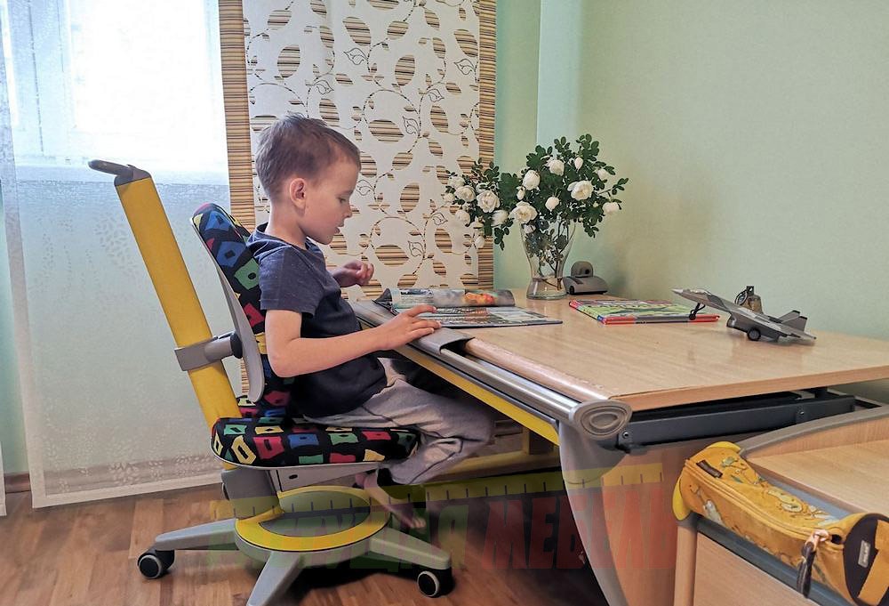 Набор растущей эргономичной мебели (стол-парта moll Runner Basic, стул moll Maximo ,тумбу moll Medi Basic и важные аксессуары - лампа Mobilight и подставка под рюкзак moll Bag Up Basic