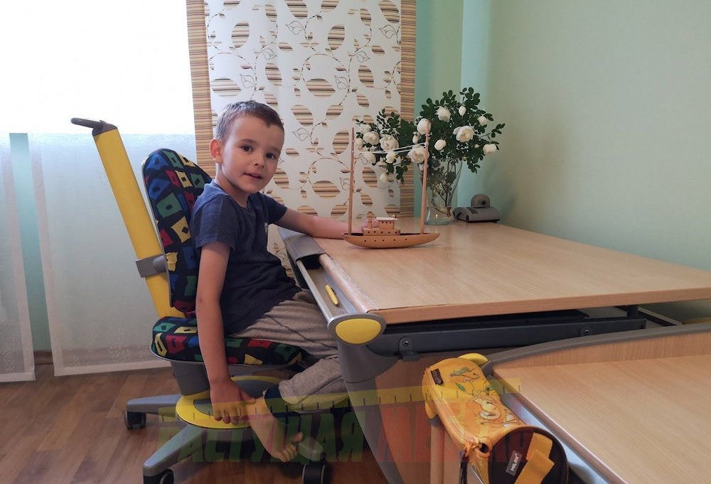 Набор растущей эргономичной мебели (стол-парта moll Runner Basic, стул moll Maximo ,тумбу moll Medi Basic и важные аксессуары - лампа Mobilight и подставка под рюкзак moll Bag Up Basic