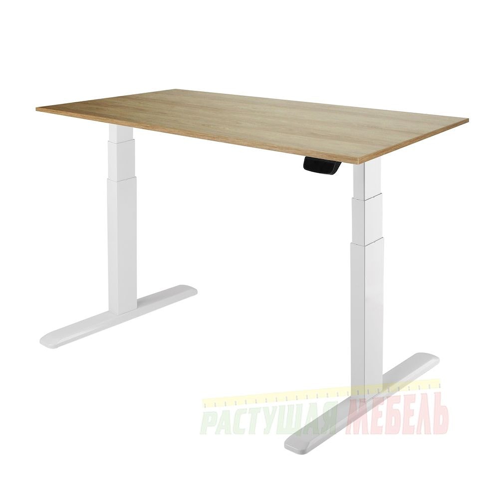 Дуб натуральный