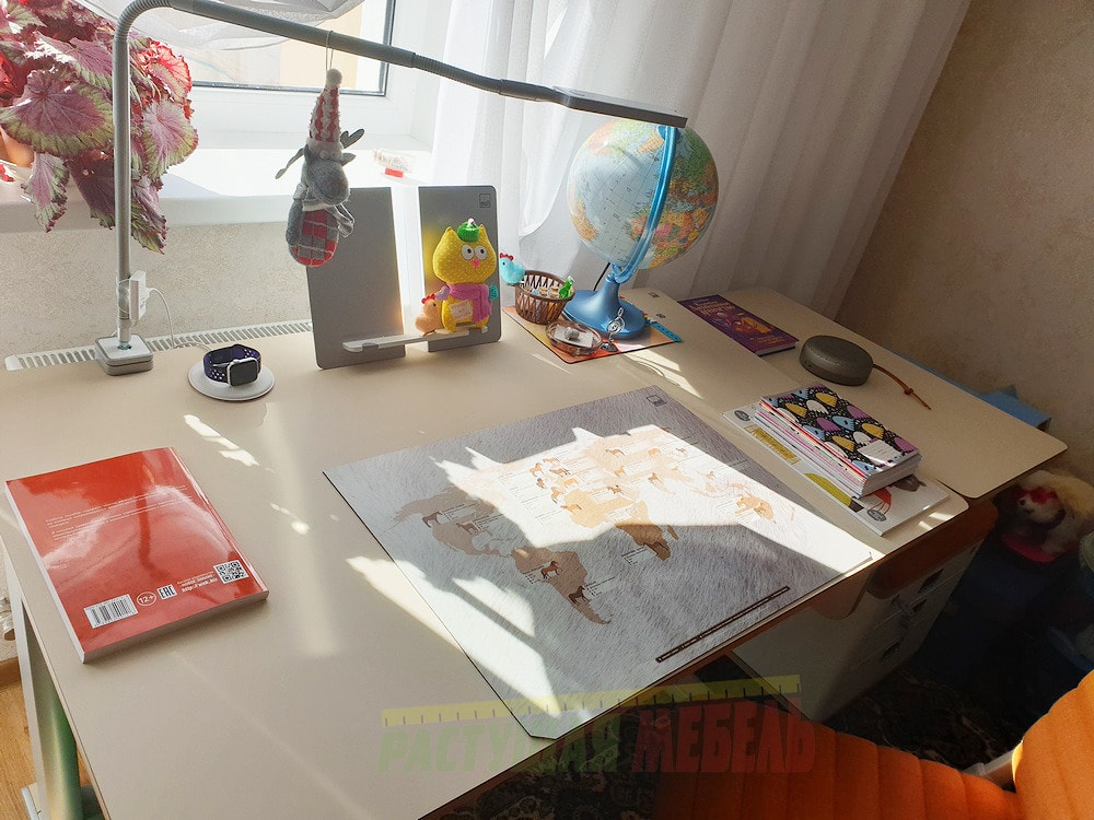 Стол-парта moll T5 c боковой полкой E1