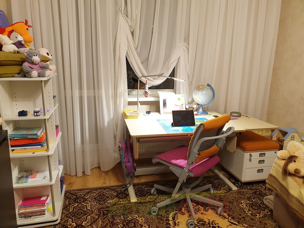 Регулируемый стол moll T5, боковая  полка E1, стул S6, лампа moll Flexlight, тумба moll С7, стеллаж moll Tower 56