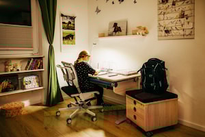 Тумба на колесах moll Pro