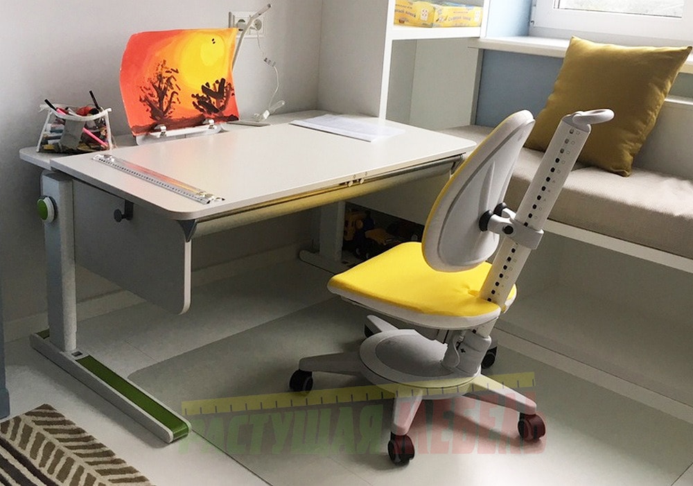 Детская растущая парта moll Champon и стул moll Maximo