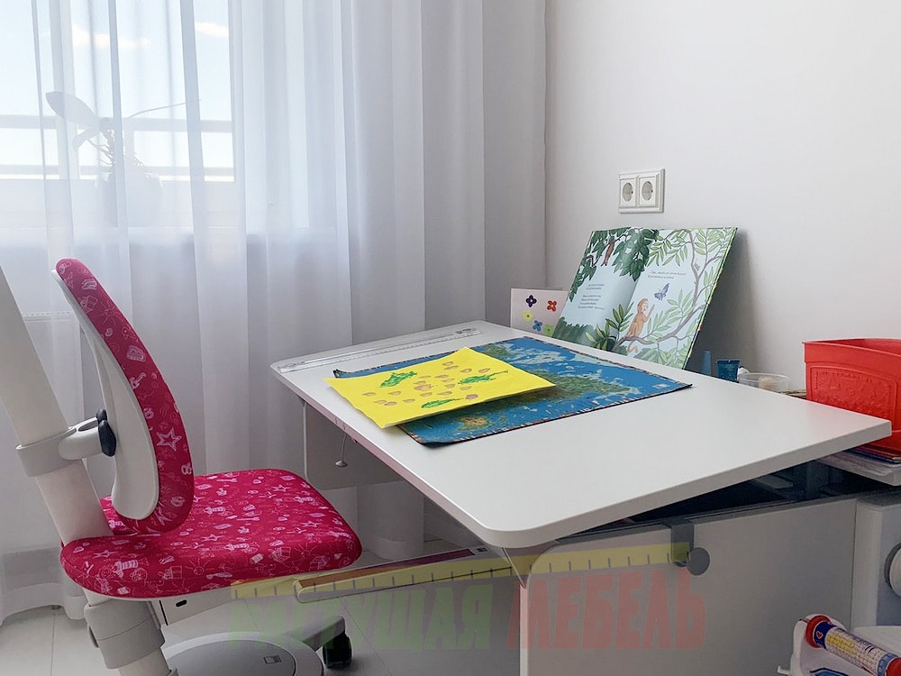 Детская растущая парта moll Champon и стул moll Maximo