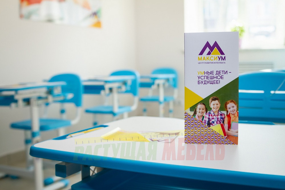  Детский комплект (парта+стул) Smart ELFIN B201