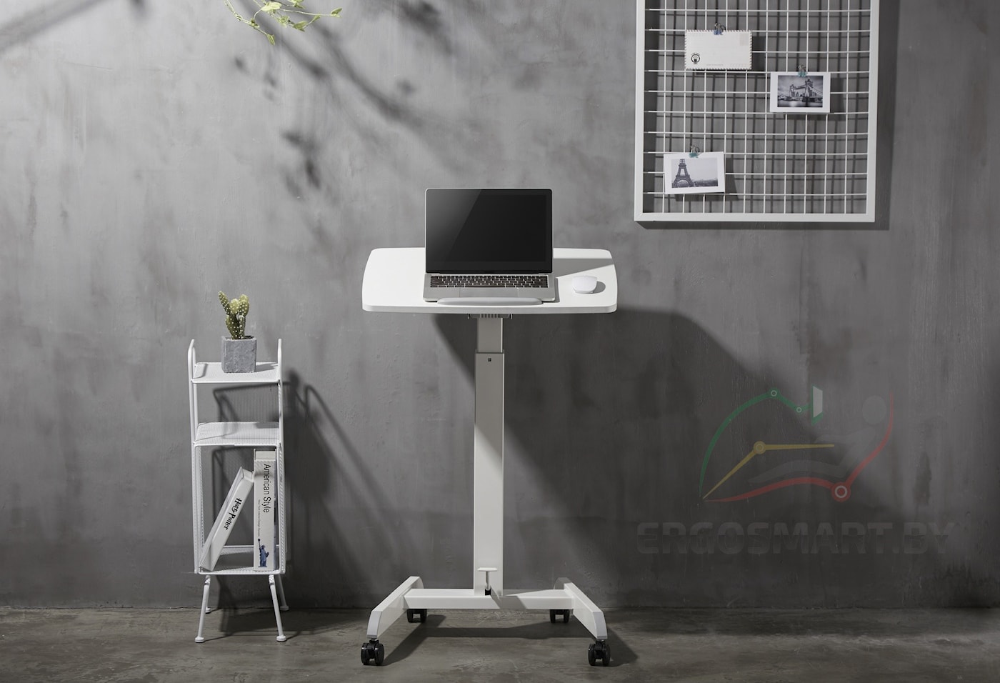 Пример расположения конторки Altais