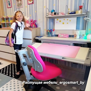 Парта COMF-PRO Harvard с полкой Smart-S-Slelf, покрытие COMF-PRO Desk Mat, стул Comf-Pro Match