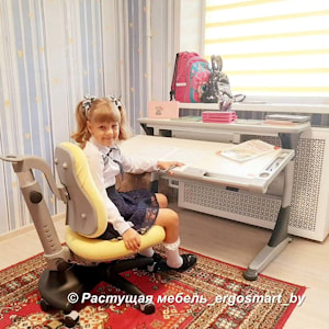 Парта COMF-PRO Harvard с полкой Smart-S-Slelf, покрытие COMF-PRO Desk Mat, стул Comf-Pro Match