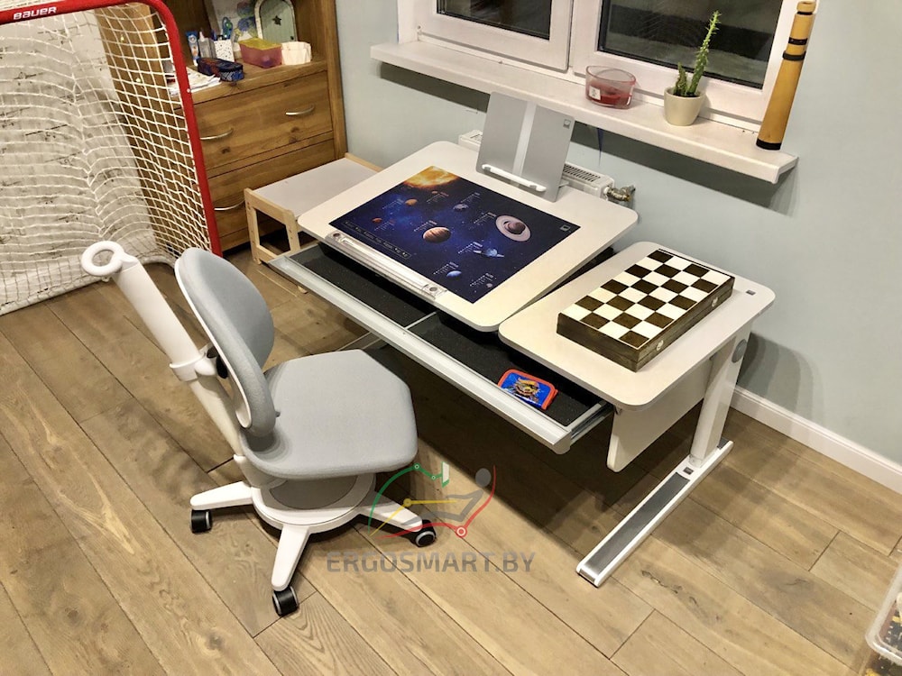 Растущая парта moll Champion Slim