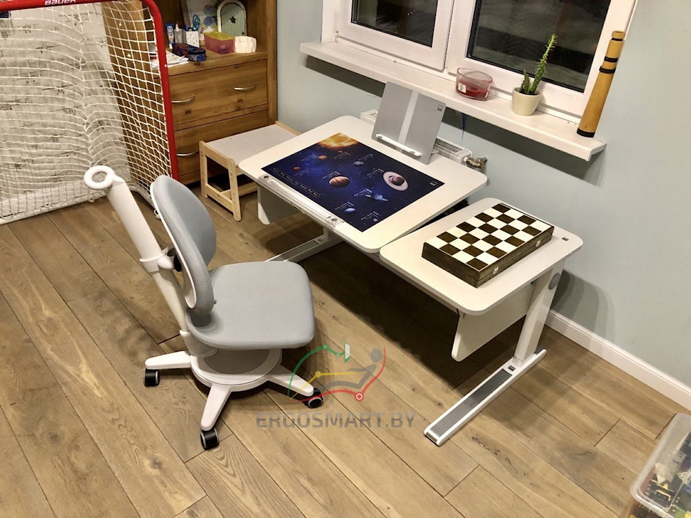 Растущая парта moll Champion Slim