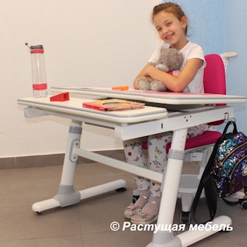 Новая поставка Растущей мебели. Хиты продаж - парты Smart E501 и Smart E502 в наличии