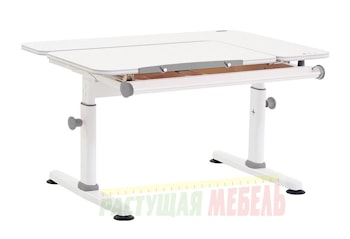 Детский стол-трансформер TCT Nanotec M6+XS  