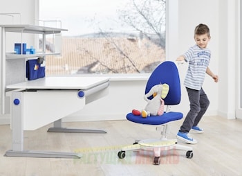 MOLL Maximo-лучший стул по результатам независимого тестирования!  