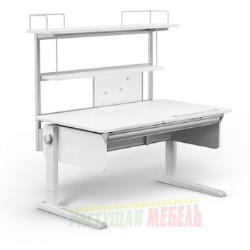 Многоуровневая полка Flex Deck для стола-парты moll Champion  