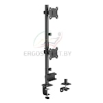 Кронштейн для 2-х мониторов Double Decker Hold